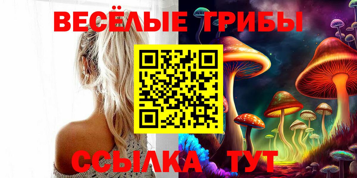 Псилоцибиновые грибы Psilocybine cubensis Выборг