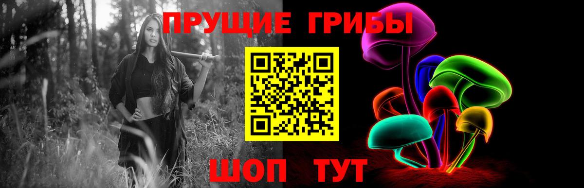 Галлюциногенные грибы прущие грибы  Псилоцибиновые грибы мухоморы  Выборг  Вход с VPN 